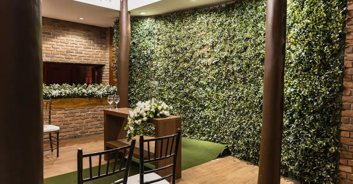Hedera kunst