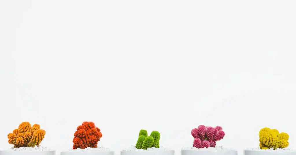 Kamerplant kunst