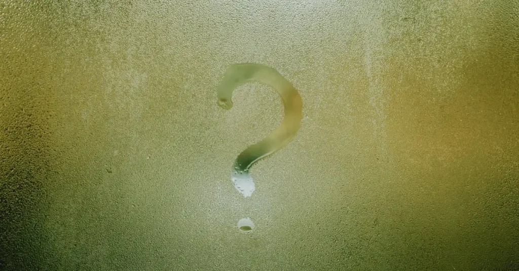 Betekenis van kunst ontdekken en begrijpen