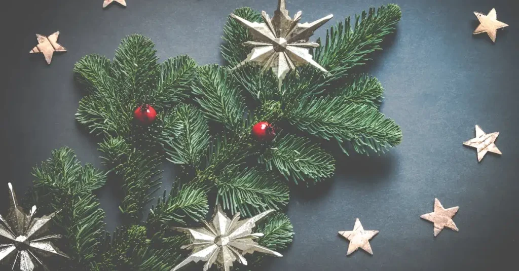 Prachtige kunst kerstster voor een sfeervolle kerst