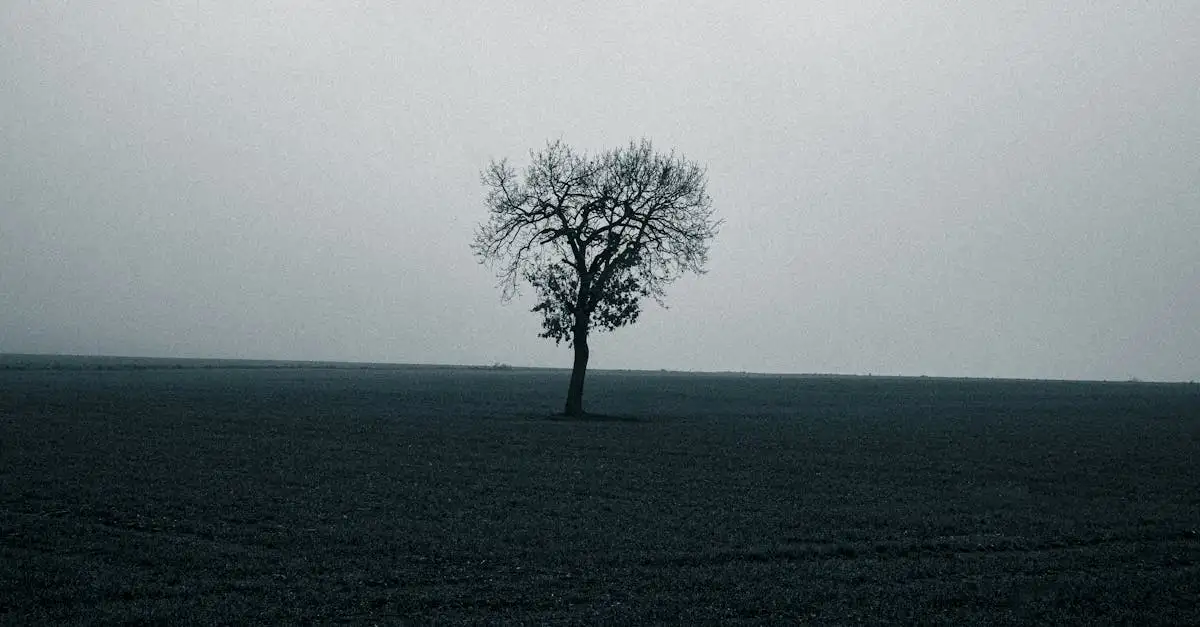 Kunst fotografie zwart wit: boeiende beelden ontdekken