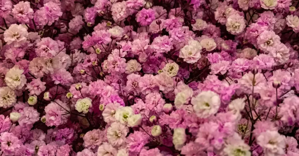 Kunst gipskruid kopen? Prachtige kunstbloemen voor elk