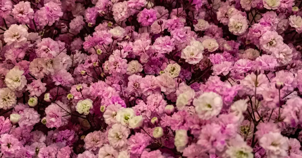 Kunst gipskruid kopen? Prachtige kunstbloemen voor elk