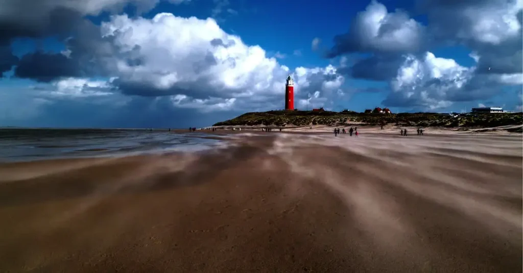 Ontdek de mooiste kunst op Texel | Kunstenaars en galeries