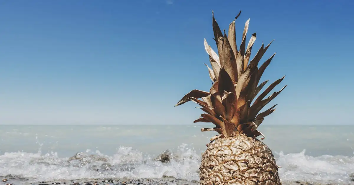 Ontdek prachtige kunst met fruit als inspiratiebron