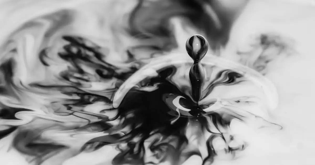 Fotografie kunst zwart wit: boeiende beelden ontdekken