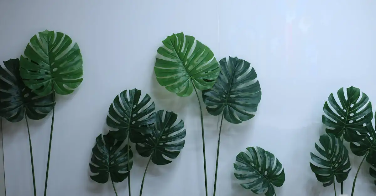 Kunst ficus kopen: realistische kunstplanten voor elk