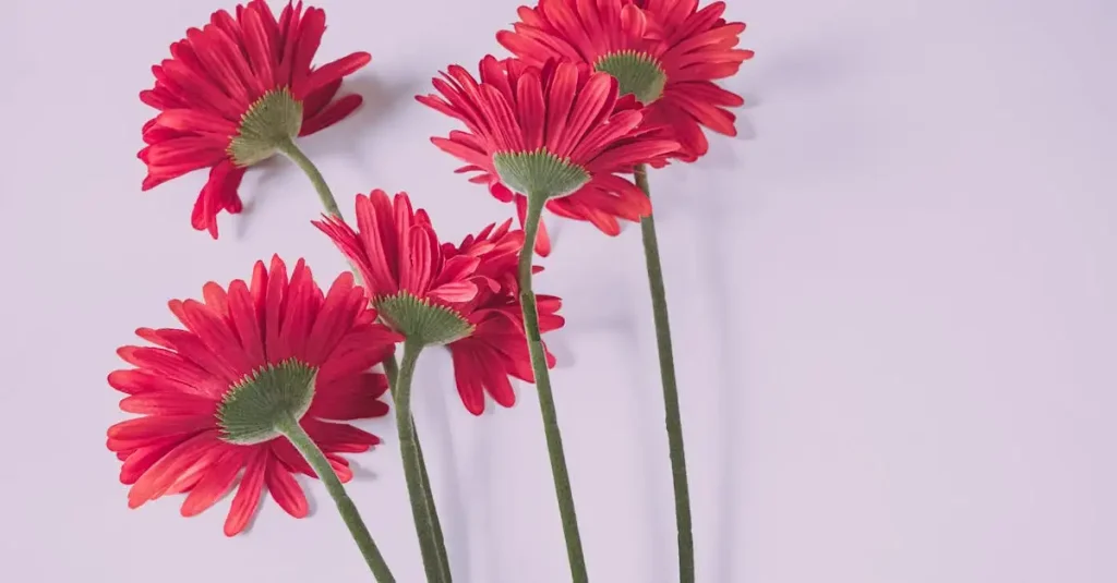 Kunstgerbera kopen: realistische en duurzame kunstbloemen