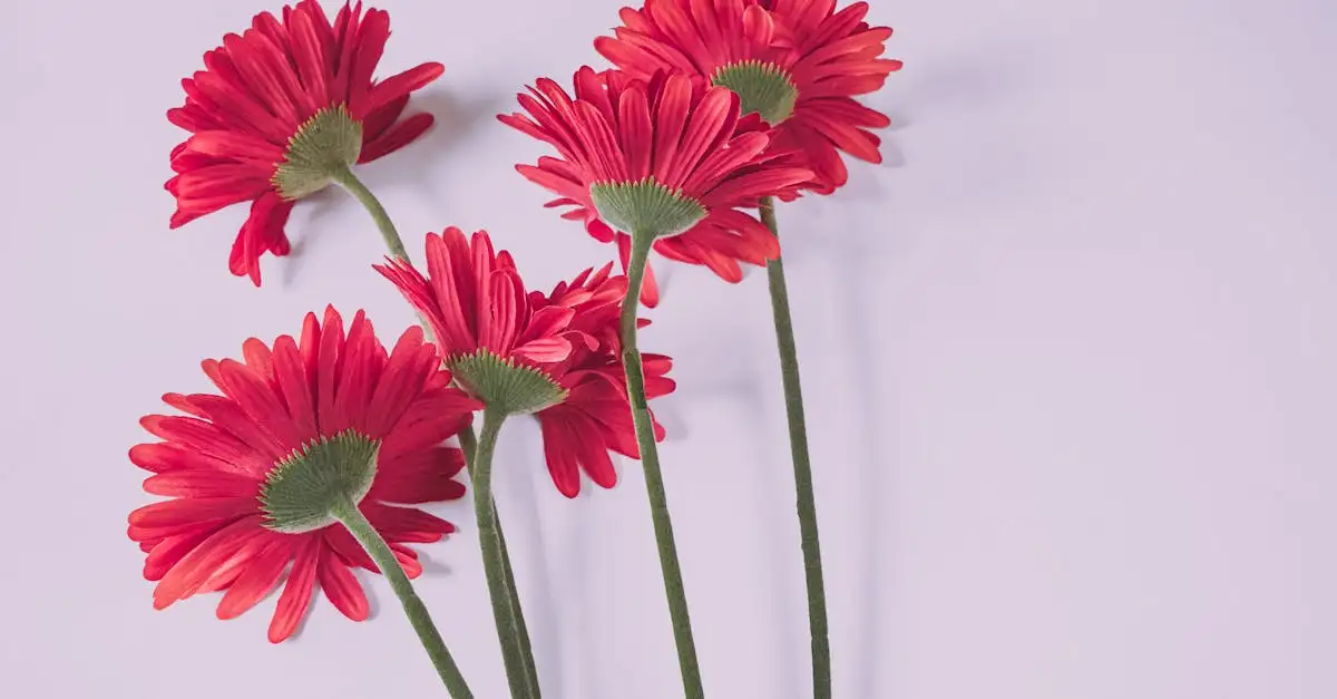 Kunstgerbera kopen: realistische en duurzame kunstbloemen