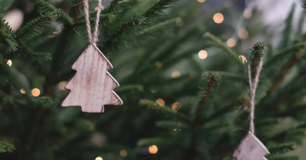 Kunstsneeuw kopen voor winterplezier en decoratie